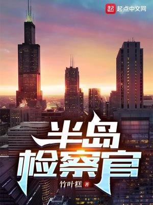 半岛检察官无错版
