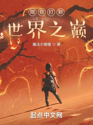 陪你打到世界之巅 起点