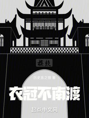 衣冠不南渡txt盘