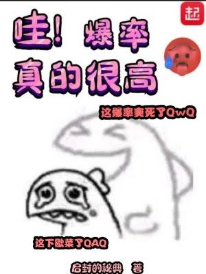 哇!爆率真的很高 作者启封的秘典