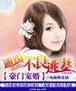 豪门通缉令宝贝别逃