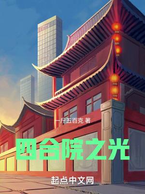 四合院之光之类的