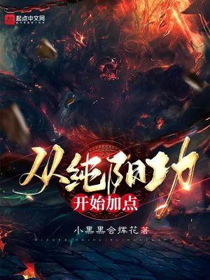纯阳无极功秘籍
