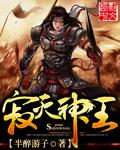 寂灭神王 半醉游子