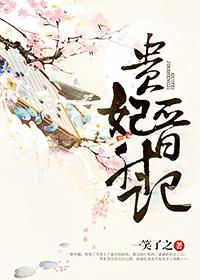 贵妃晋升记 明月珰讲的什么