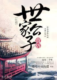 红楼之世家公子贾琏爱吃土豆的猪免费