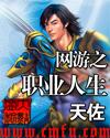 网游职业人生精校版