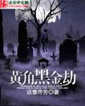 黑金墨黄属于什么档次