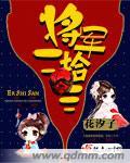 将军28
