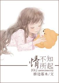 情不知所起歌词完整版