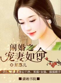 闹婚之宠妻如命贺泽川