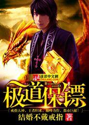 如龙极2保镖