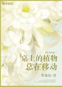 桌子上放的植物