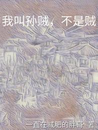 我叫孙贼不是贼笔趣阁