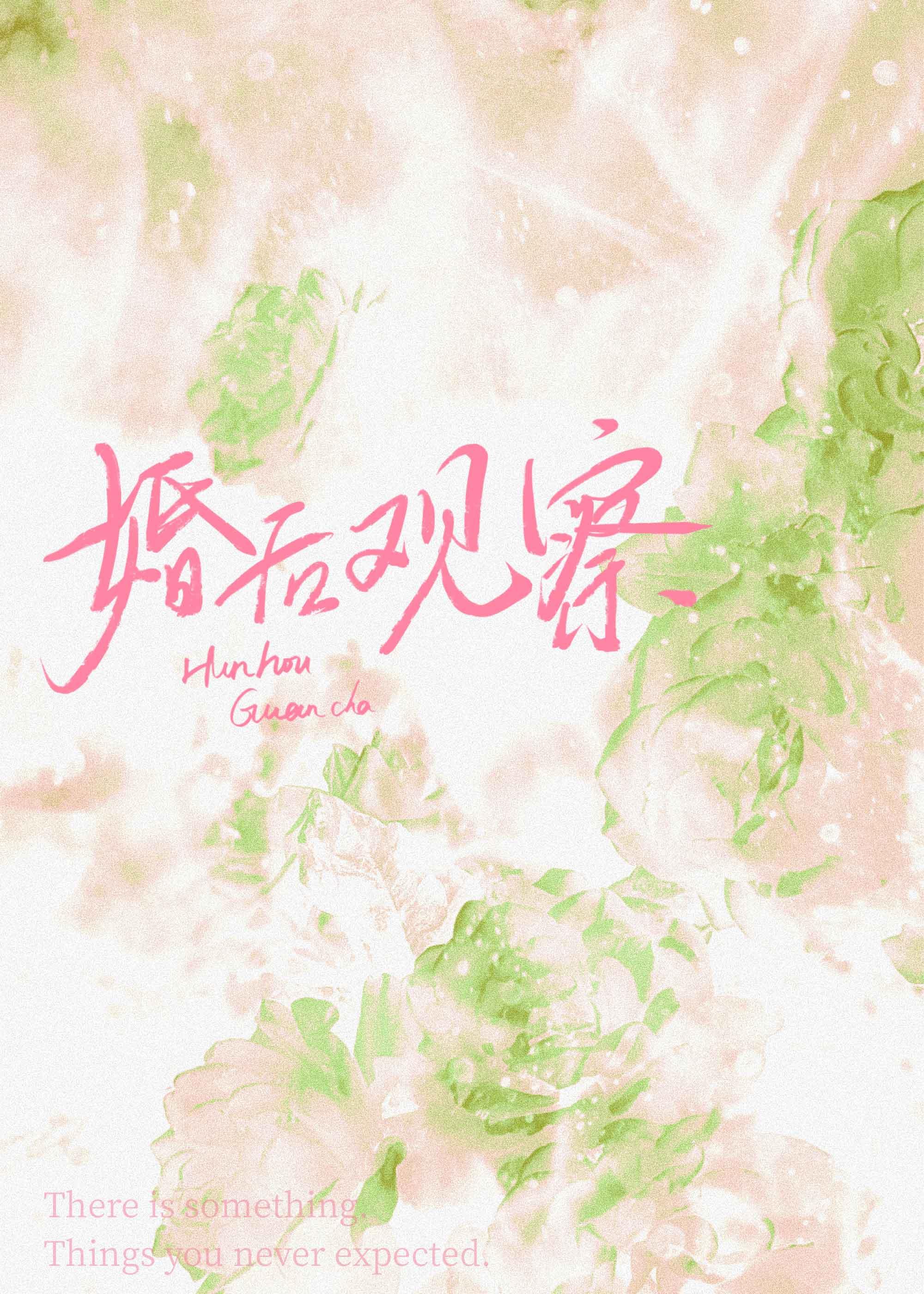 婚后观察综艺免费观看