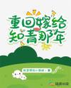 重回嫁给知青那年苏艺安和谁结婚了