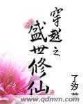 穿越之盛世荣华免费阅读