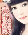 妻本贤良攻略详细步骤详解