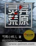 荒村灵异手记有声全集