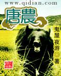 唐农dmt100多少钱