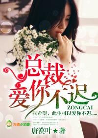 爱你不迟 第1章