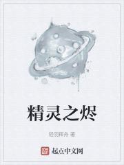精灵之泪怎么用