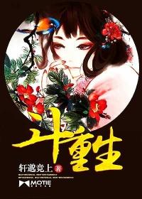 斗2太子重生