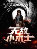 小术士系列