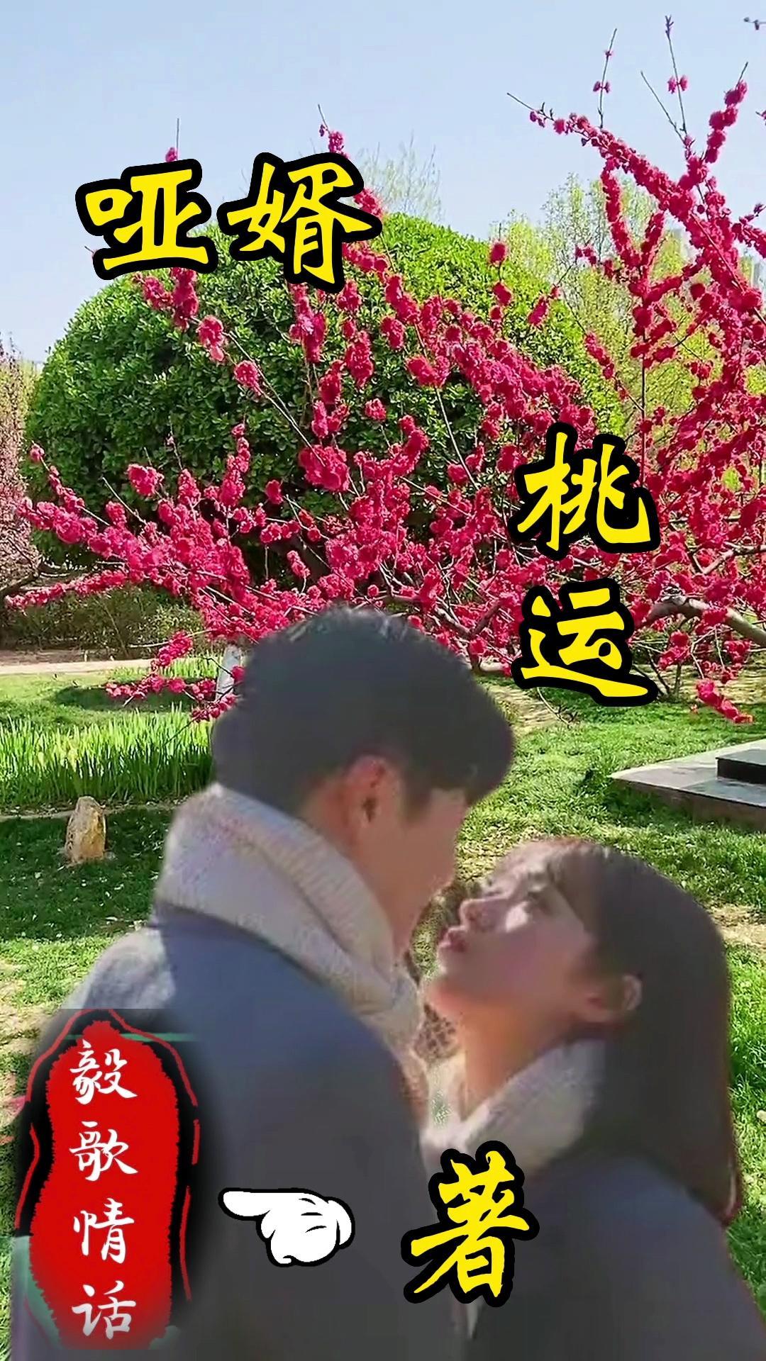哑婿桃运 吴浩天
