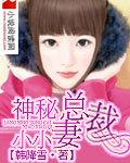 神秘总裁的小小小妻子