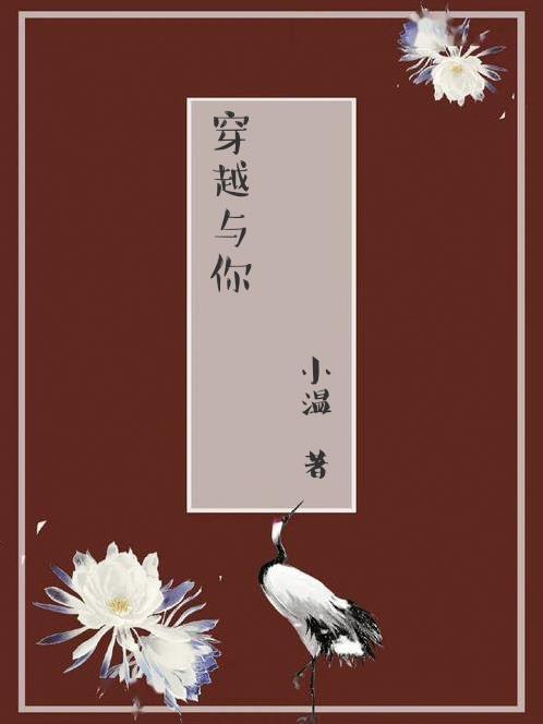 穿越与你相见