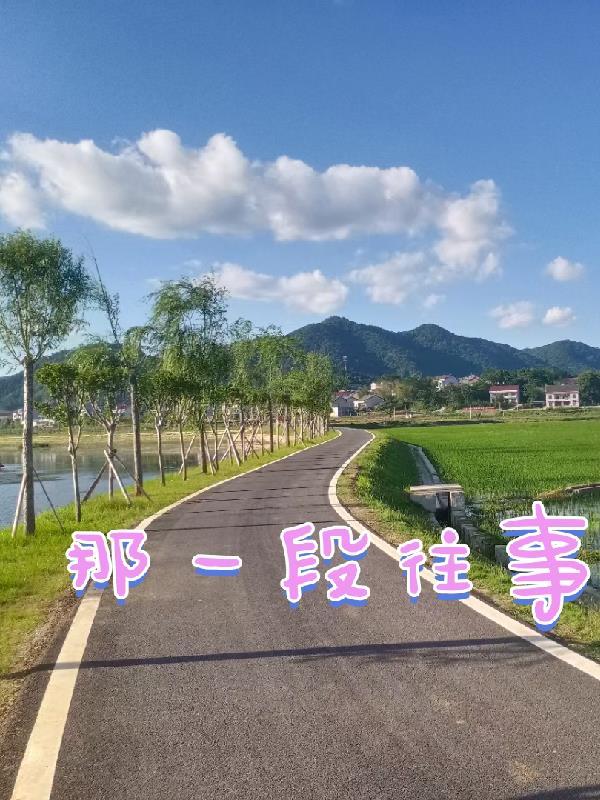 那一段往事的追忆全集 小辉