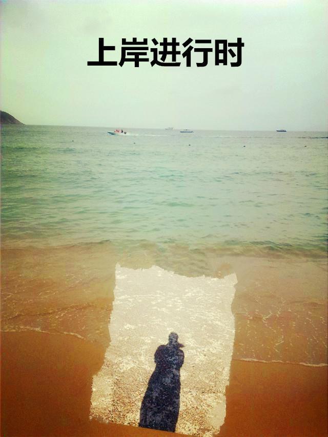 上岸什么意思?