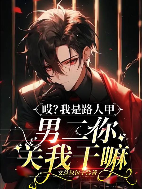 我是路人甲bgm