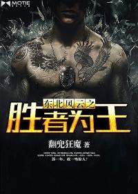 东北风云第24集