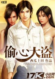 偷心大盗番外在线观看
