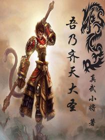 吾乃齐天大圣归来无敌境界划分