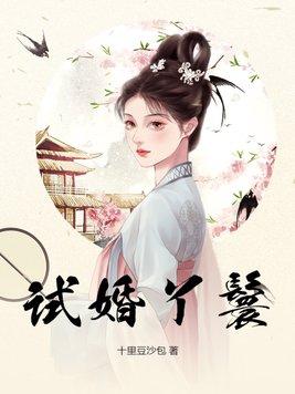 试婚丫鬟剧情介绍