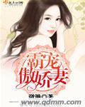 傲娇霸总追妻