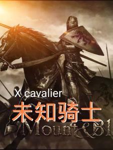 不知名骑士