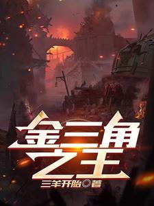 金三角王保