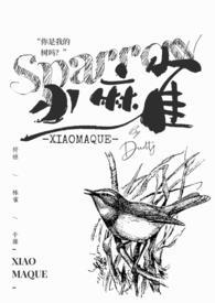 小麻雀(纯百)_