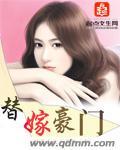 豪门替嫁夫by