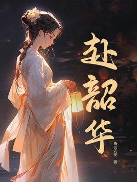 赴韶华攻略