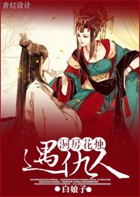 宠婢讲的什么