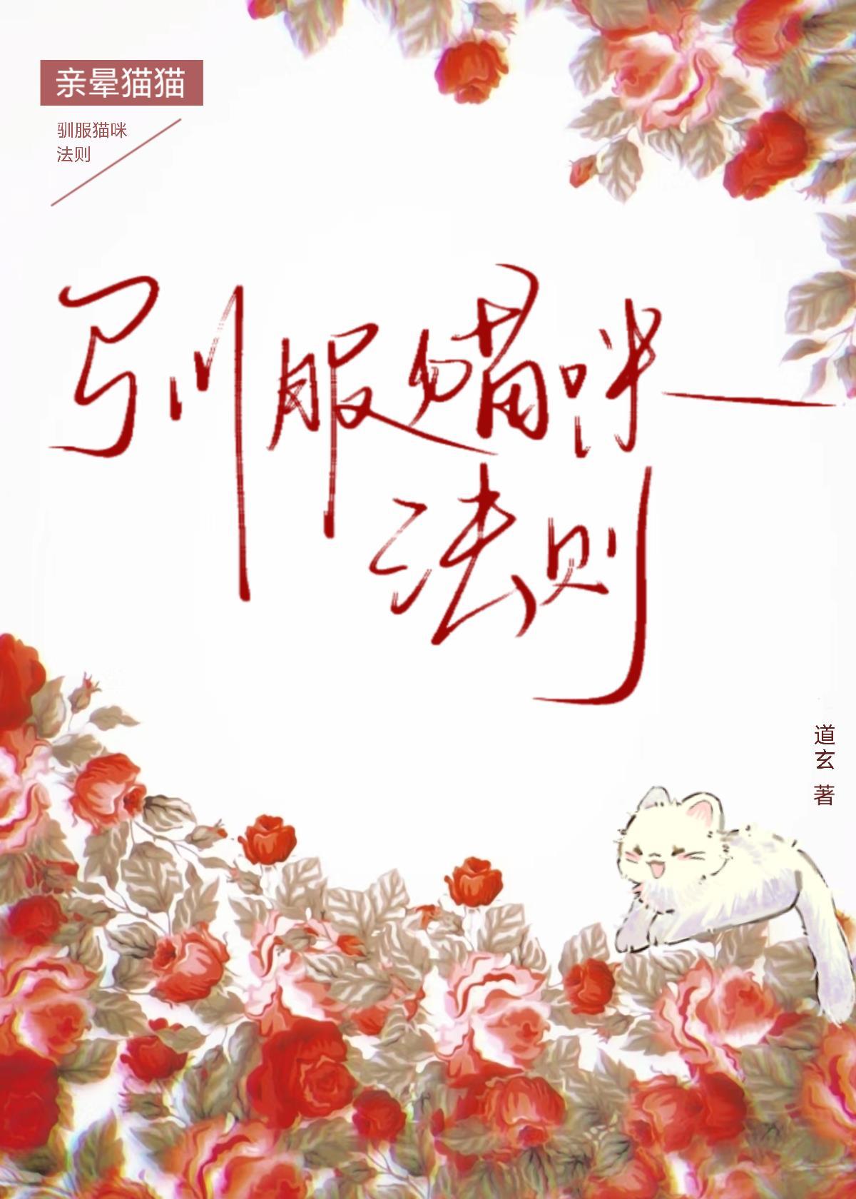 驯服猫咪法则by道玄