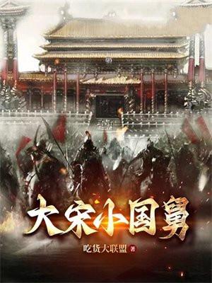 大宋之最强小舅子免费阅读