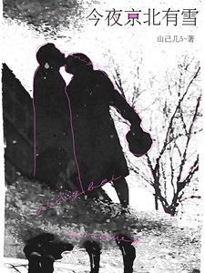 今夜京北有雪讲了什么内容