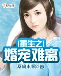 重生之婚宠陷阱