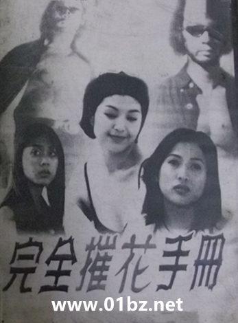 完全摧花手册外传之戴安娜